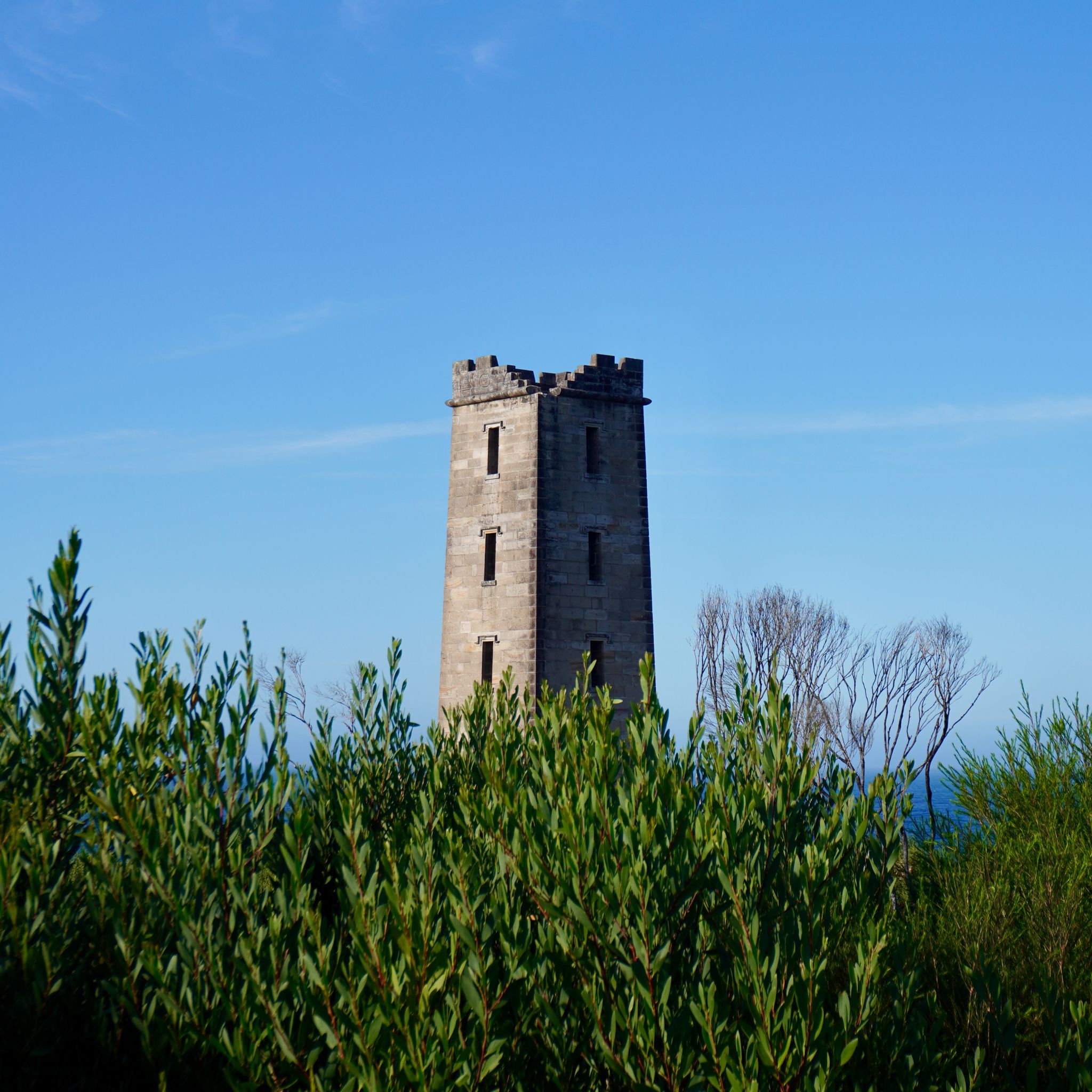 Boyd's Tower appearing in the distance, behind a curtain of trees.