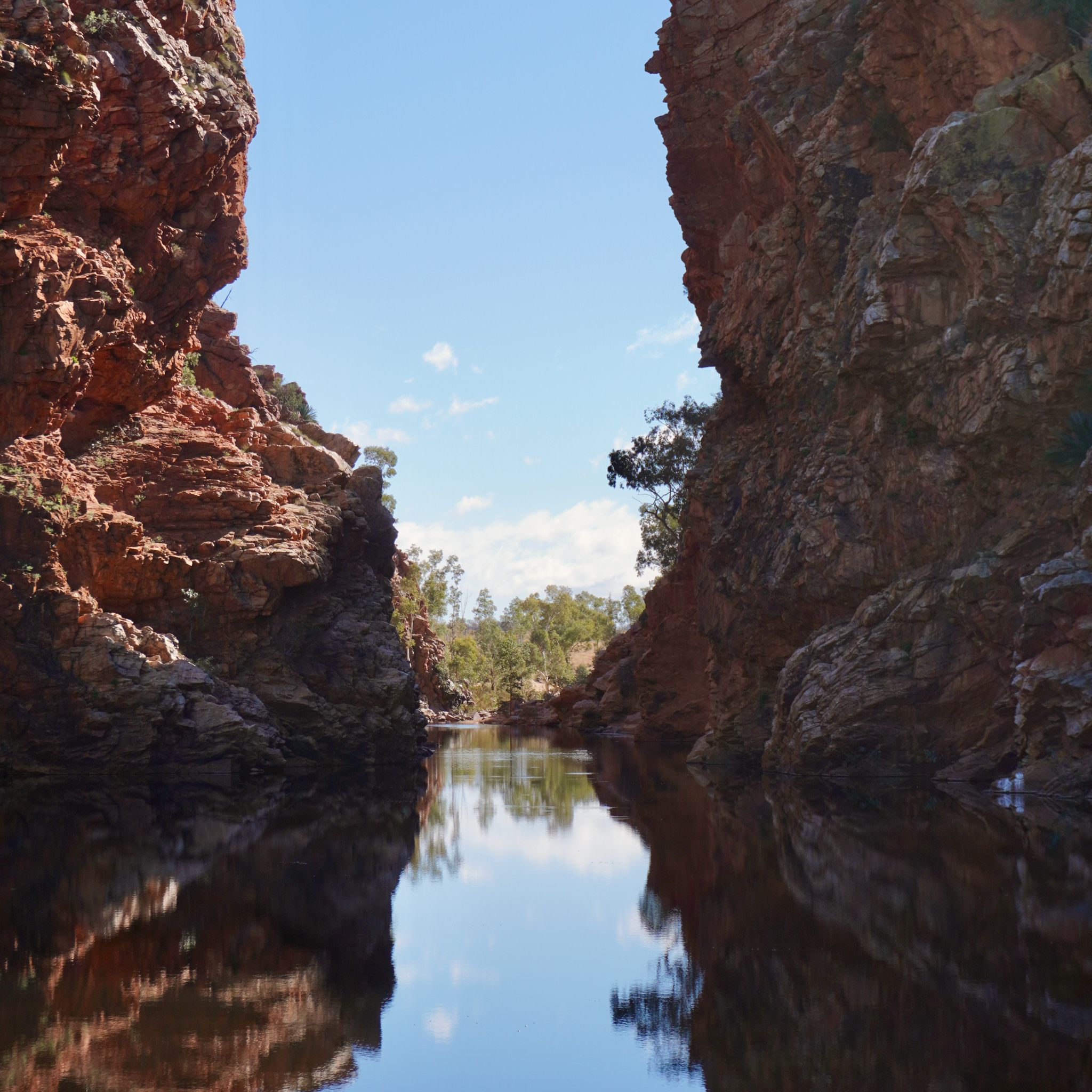 The Simpsons Gap, where rocky cliffs surround a calm water body reflecting the bright blue sky, with scattered trees on distant rocks.