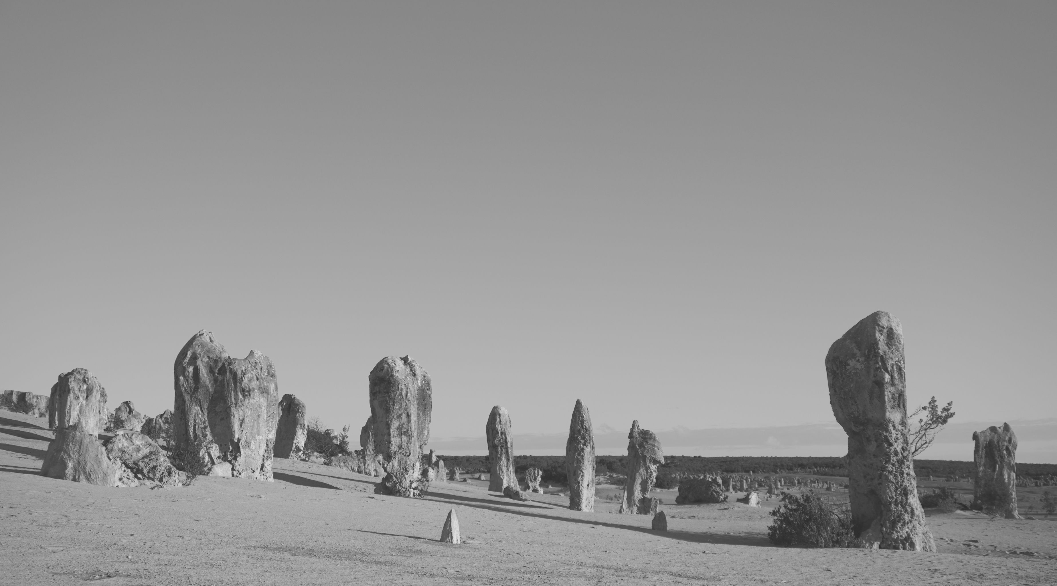 A black and white photography of the Pinnacles, the rock mounts that stand in the desert of Western Australia.