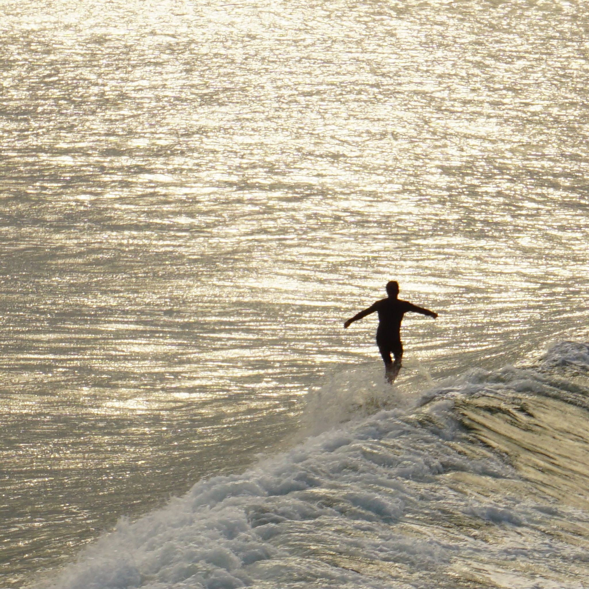 A longboarder surfing a wave at sunset.