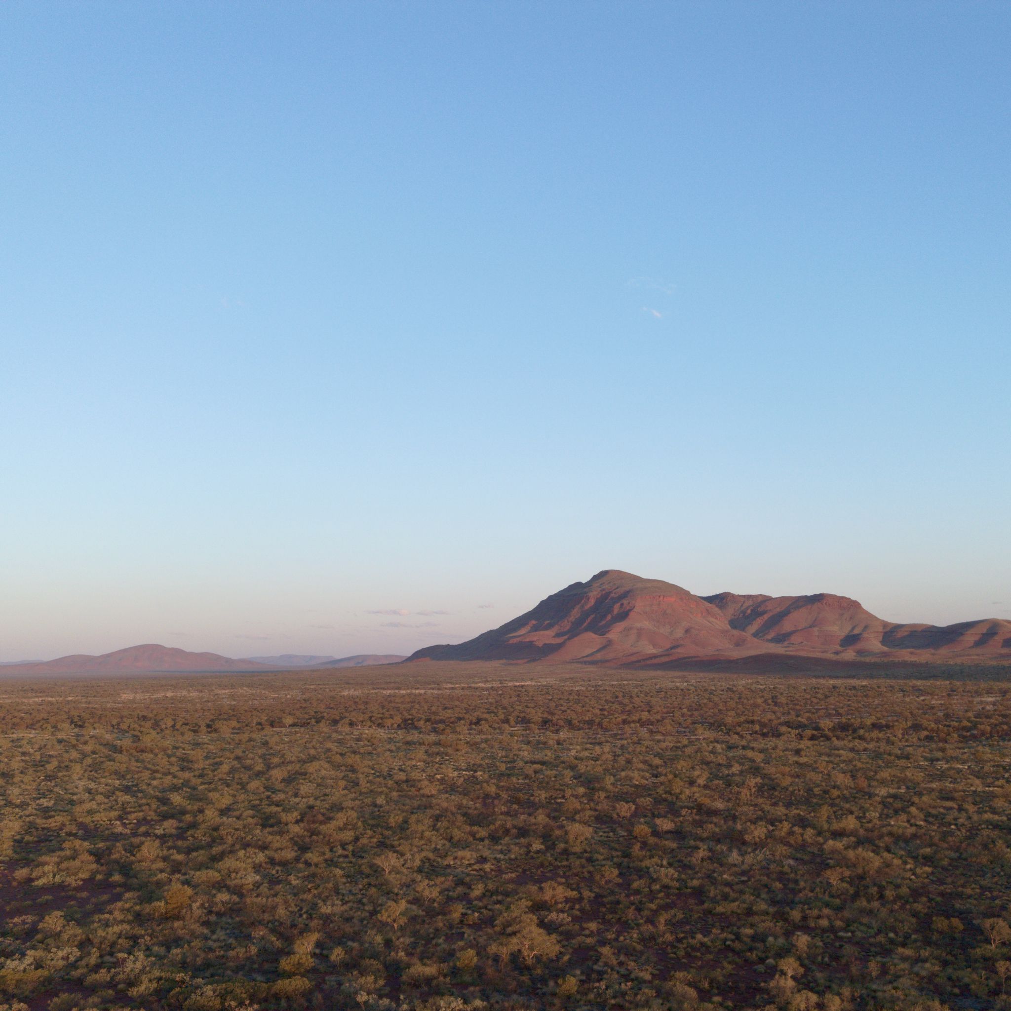 A picture of low mountains in the distance, with the forground covered in dry shrubs and low trees.