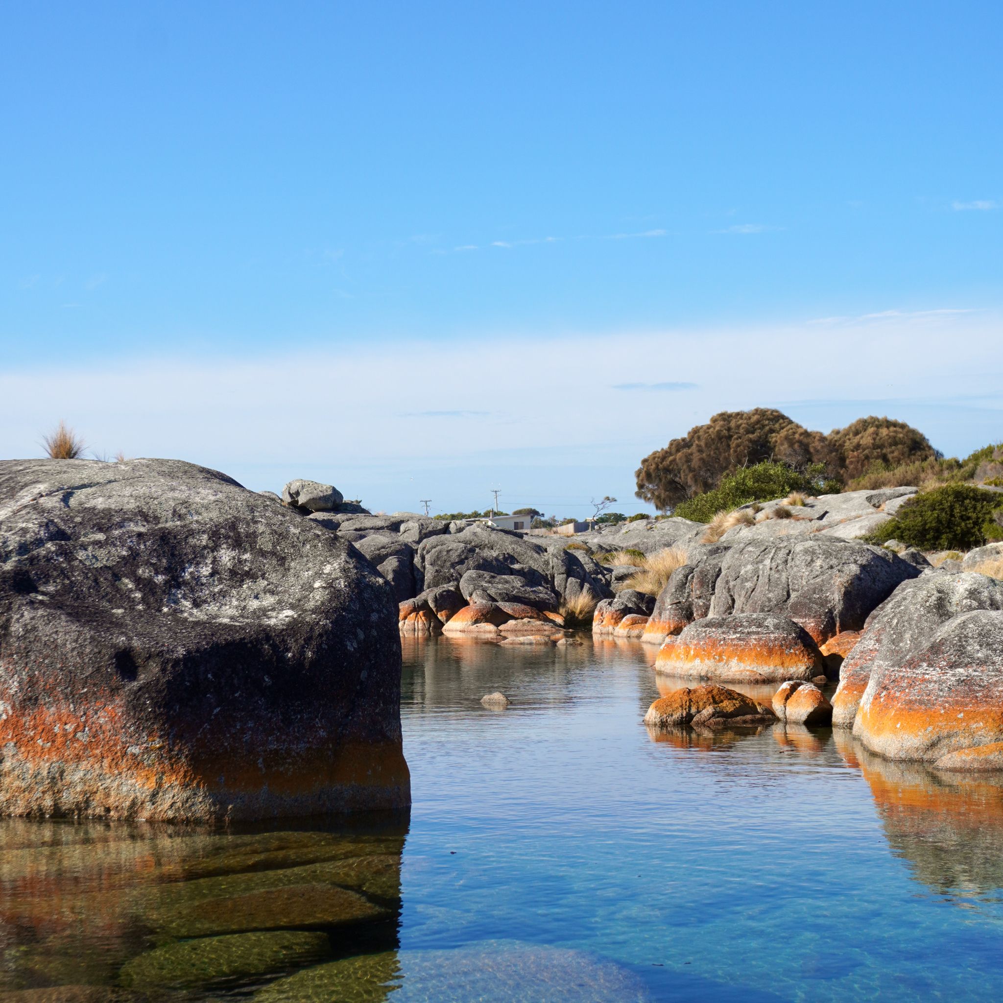 The orange lichen on granite boulders in the Bay of Fires.