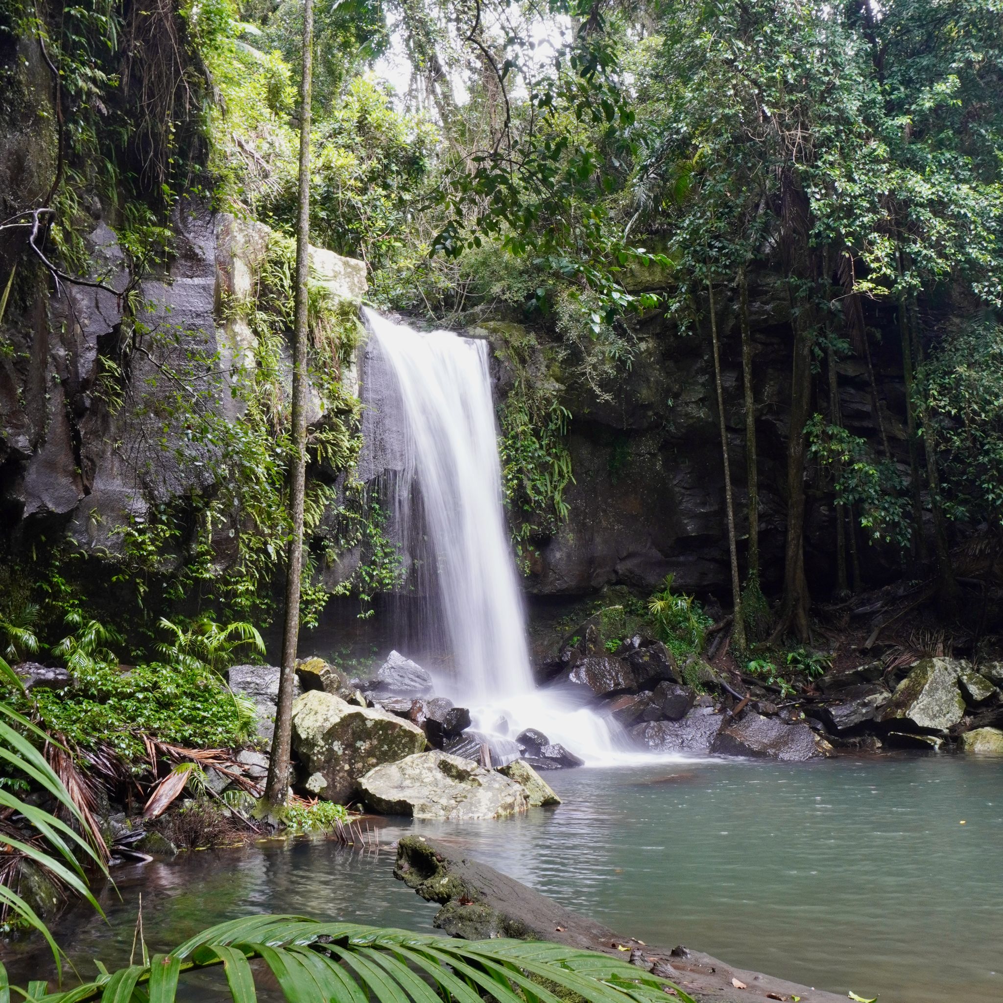 One of the many waterfalls found on our way during our roadtrip in the Scenic Rim in Queensland.