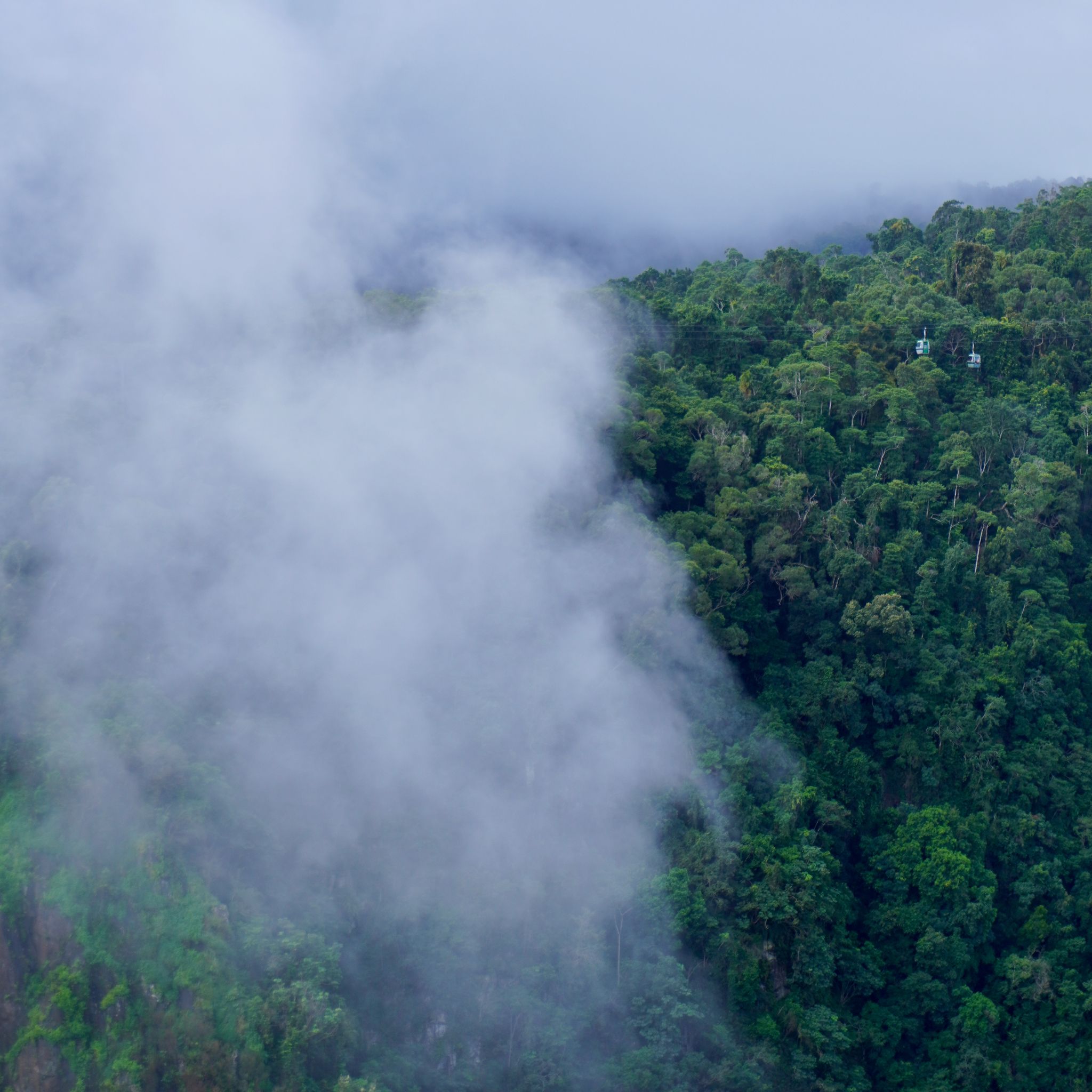 A cableway enters the clouds over the Baron Gorge in Queensland