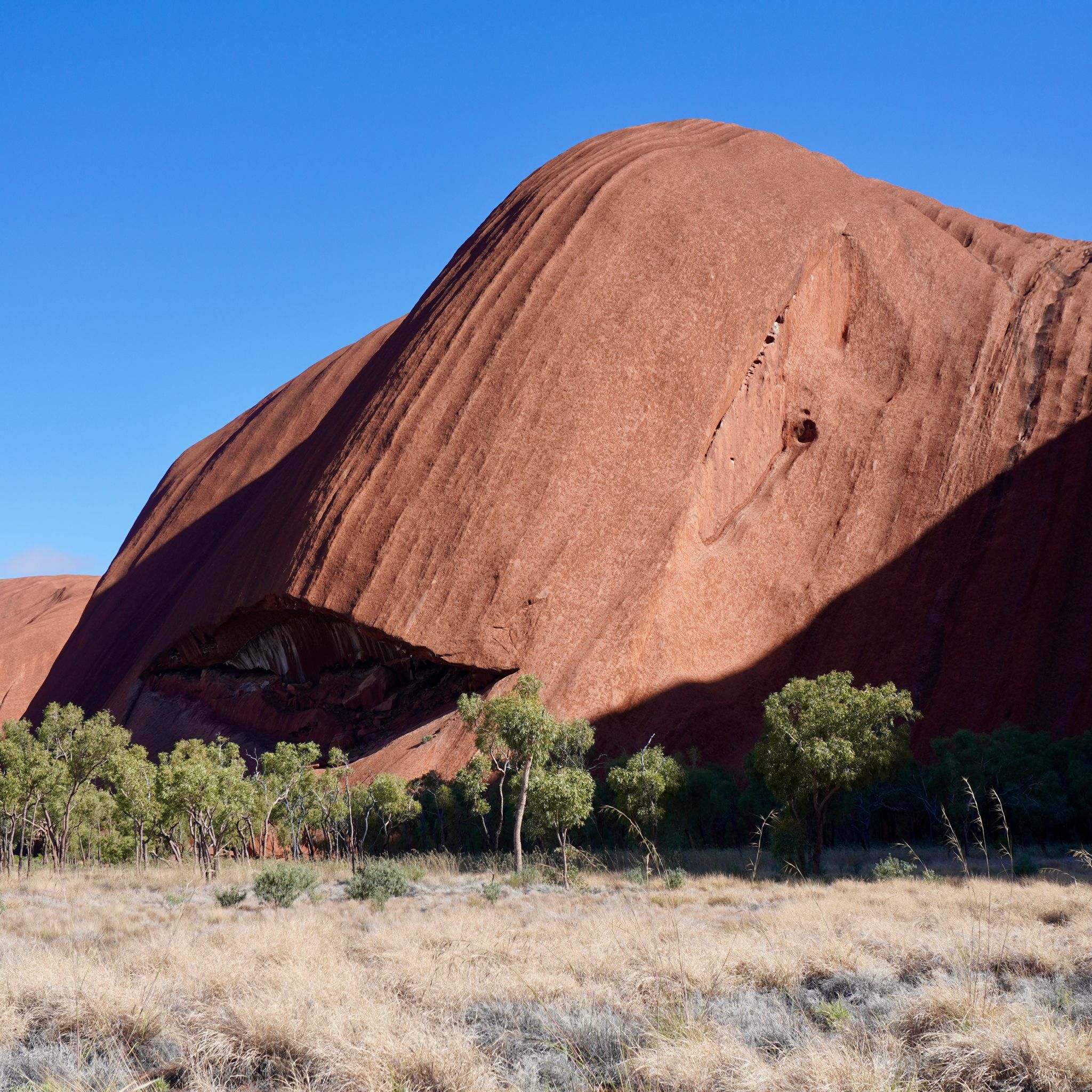 A close photography of Uluru where the rocky face forms an abstract shape.