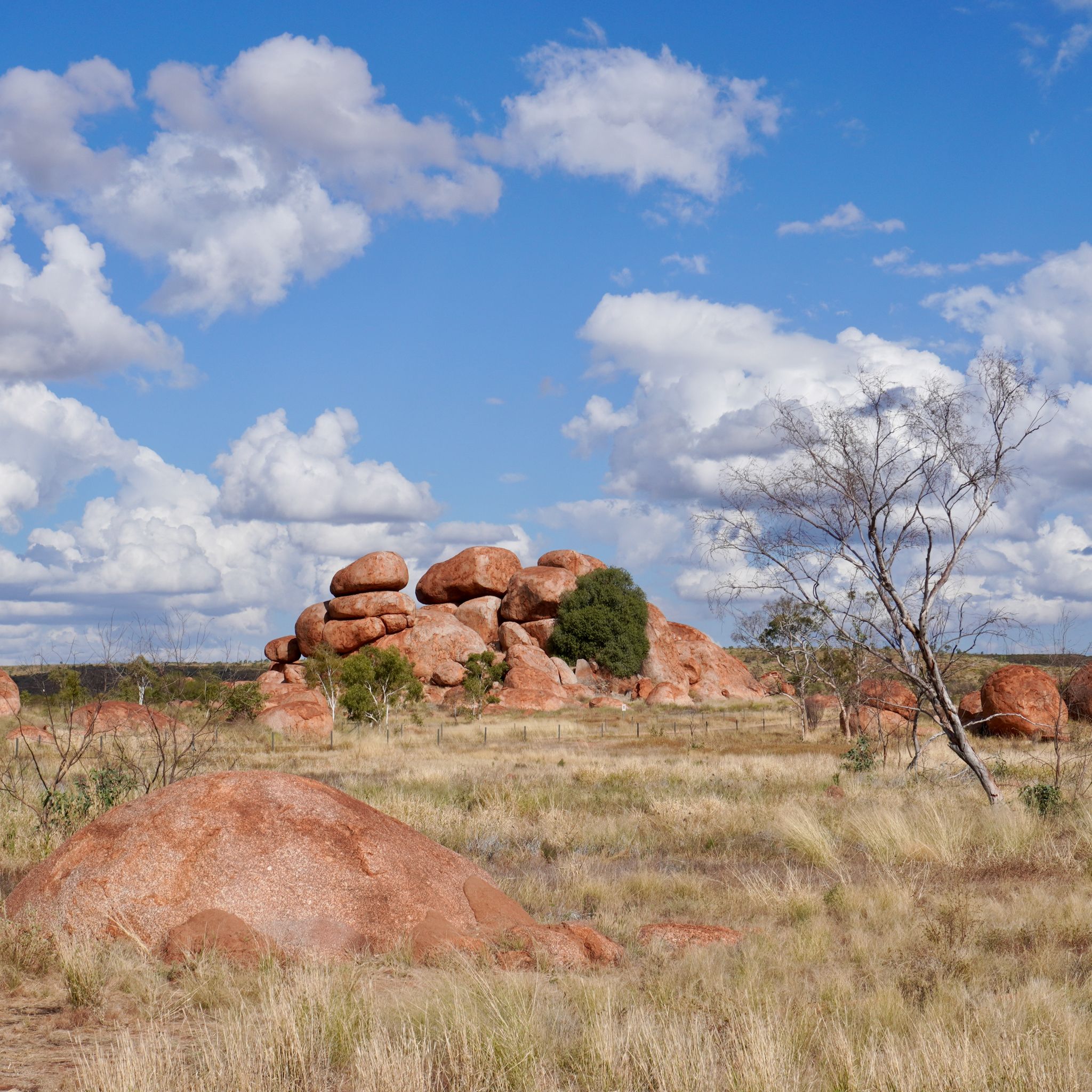 The Devils Marbles, orange round granite boulders, in the distance with dry grass and shrubs in the foreground.